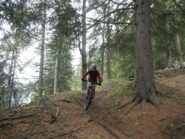 bel single track nel bosco