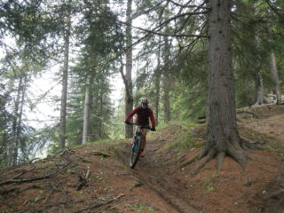 bel single track nel bosco