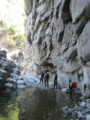 Ambiente magnifico inforrato