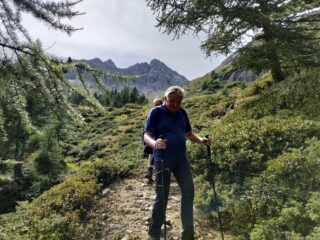 Il ritorno dall'alpe Freghera 