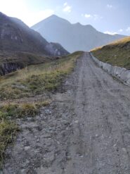 Verso il bettelmatt 
