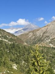 Sullo sfondo il Monte Leone