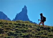 Il Cimon della Pala nella luce del mattino