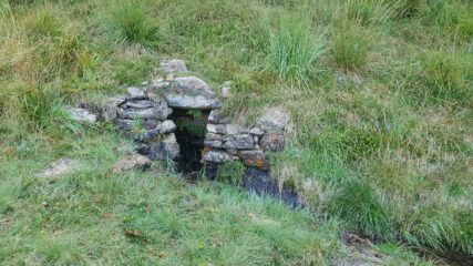 Sorgente