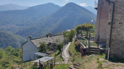 Cursolo