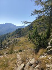 L'evidente traccia della variante diretta