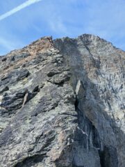 Seguo sempre il filo