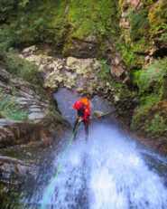C50 da sopra, foto scattata 15 metri più giù della sosta