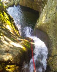 Prima calata su albero C12, possibile toboga