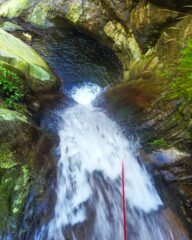 C10, bagno obbligatorio, il MC precedente è a dx, un po' nascosto tra la vegetazione