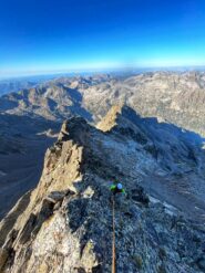 Si procede in conserva