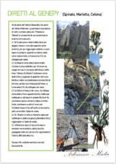 Relazione P1