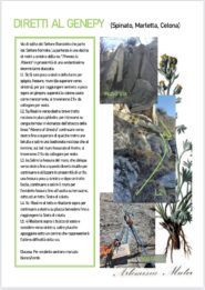 Relazione P1
