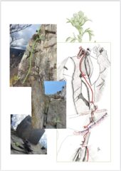 Relazione P2