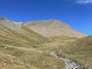 quota 2800m dove finisce l'erba