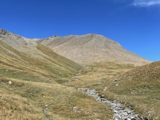 quota 2800m dove finisce l'erba