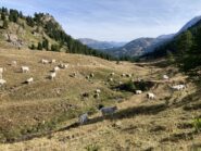 Al bivio per la Dormillouse