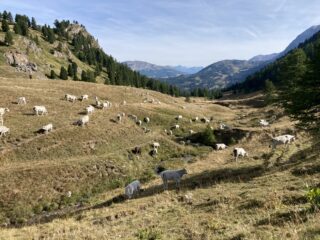 Al bivio per la Dormillouse