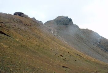 Testa di Garbe 