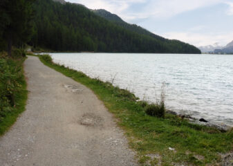 CICLABILE LAGHI ENGADINA