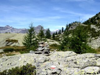 Al ritorno, poco a monte del Lago Dres.