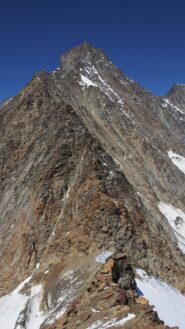 la cresta del Taschhorn