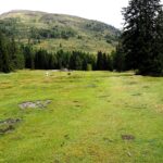 Poco prima di Malga Nemes.