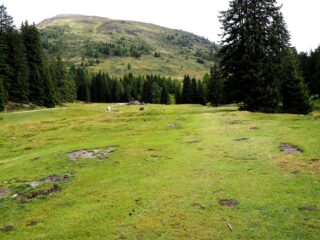 Poco prima di Malga Nemes.