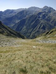 Quasi sulla dorsale, sguardo verso il fondovalle: dopo 4 ore di ravanamento la 