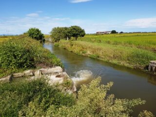 Roggia di Bianzè scorre verso le terre delle cascine Morozza e Belvedere.