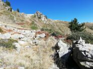 Sotto al cima