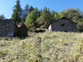 Alpe Comba del Torno