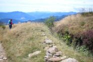 trinceramenti sul Monte Spalavera