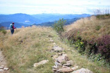trinceramenti sul Monte Spalavera