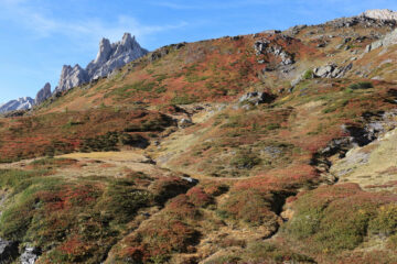 Bei colori autunnali