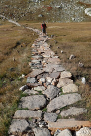 Ottimo lavoro nell'area SIC