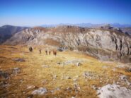discesa dalla Saline verso cima di Pian Ballaur