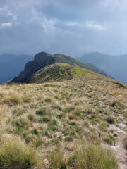 La dorsale di discesa