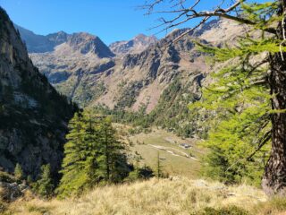 Panorama con il Piano del Valasco dal costone boscoso