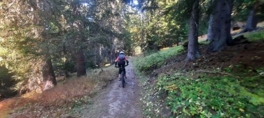 Prima parte di discesa senza alcuna difficoltà 