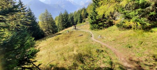 Sentiero splendido tra boschi e radure