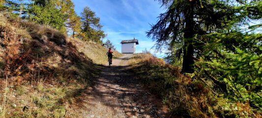 Arrivo al Cotolivier