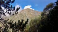 unica vista della cima nella giornata