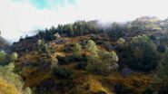 autunno