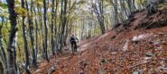 Sul Pigai nel bosco