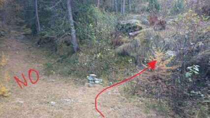 Si prende finalmente il sentiero sulla destra