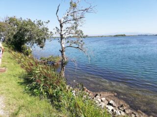 Verso Grado