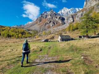 alpe buscagna sup.