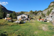 Agli alpeggi di Creton