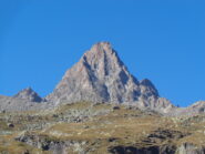 non sarà la gran becca... però...